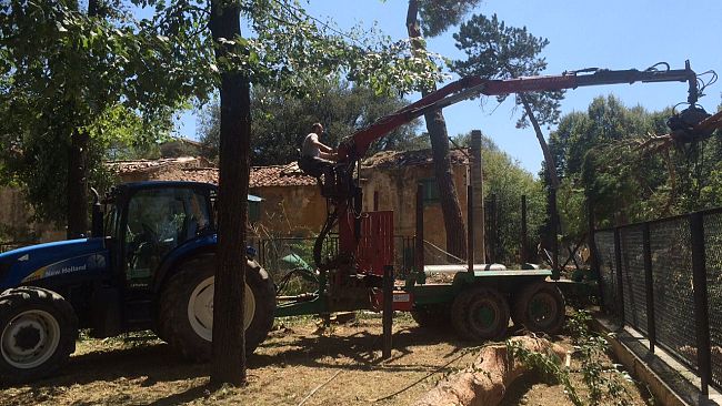 Maltempo: domani sul sito del Comune i moduli per segnalare i danni subiti