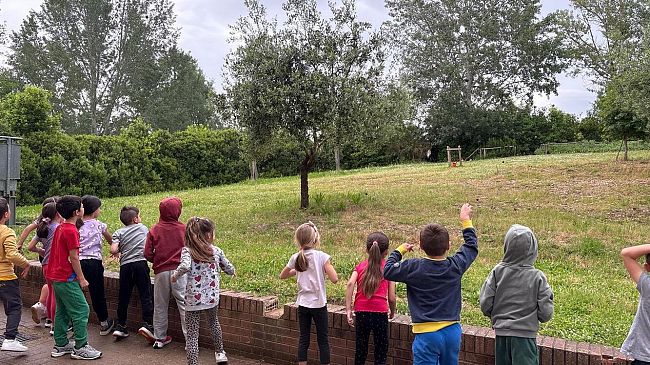 Centinaia di polpette di fiori lanciate per salvare le api