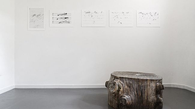 Le piante “compositrici” di Stromberg 