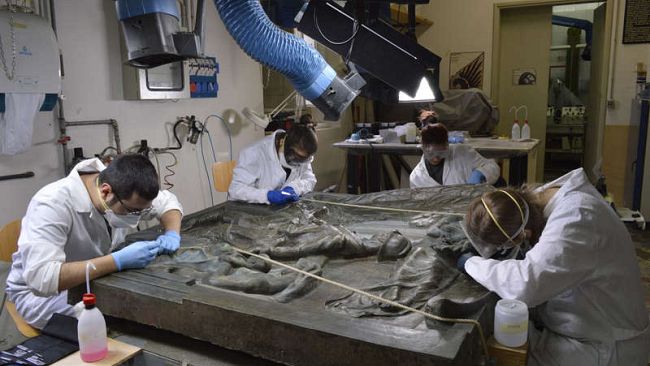 Grande Guerra, a Firenze aperture straordinarie, spettacoli e una mostra