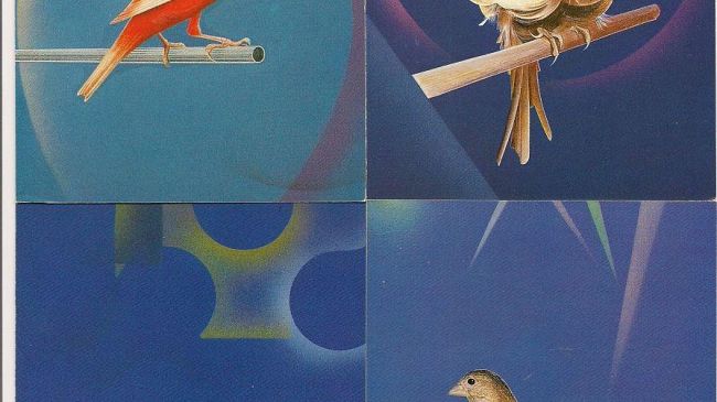 Sabato parte la 45° Mostra Ornitologica Nazionale