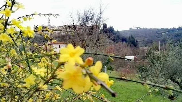 Maratona fotografica 'Città di Firenze' 2023