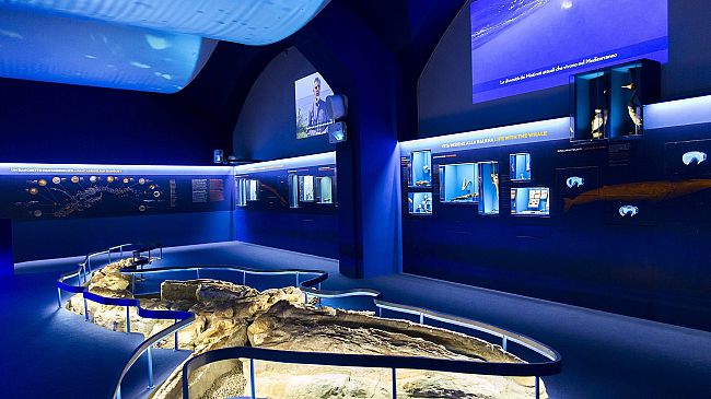 ferragosto-2025-al-museo