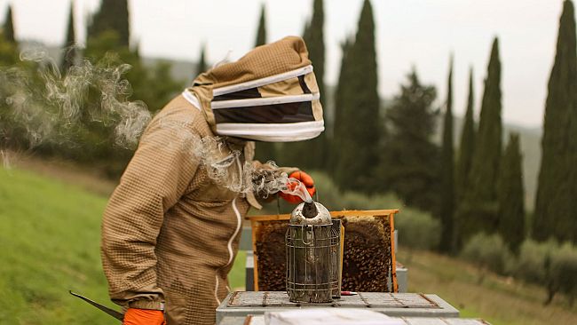 Sabato 23 maggio la Festa delle api e della biodiversità a Travalle