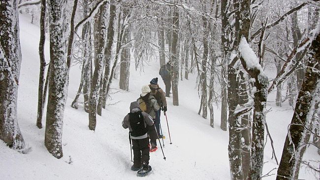 Oggi arriva il grande freddo, allerta neve dalle 18 anche in pianura