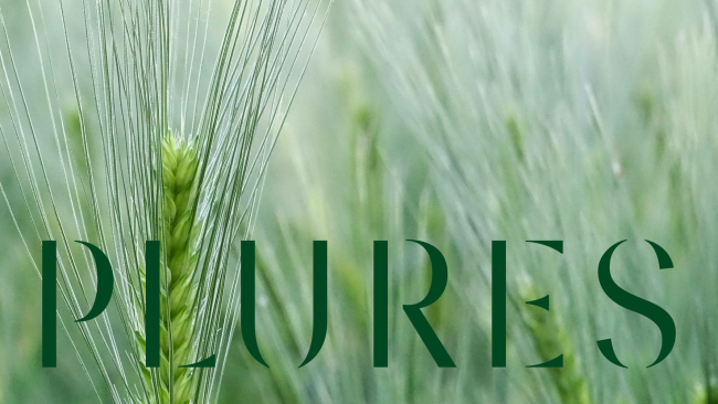 Plures è il nuovo nome della Multiutility