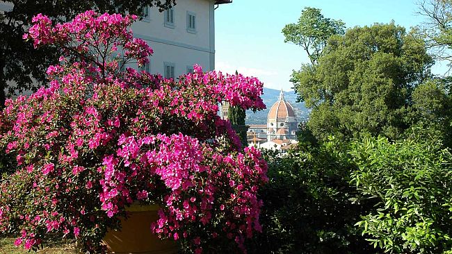 Diventare giardiniere d'arte