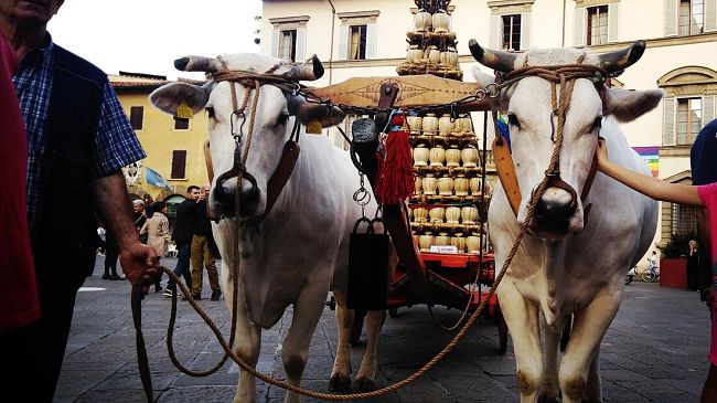 'Carro Matto' in piazza Duomo a Firenze sabato 1 ottobre