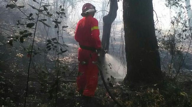 Ancora fiamme in Toscana: a Castell'Azzara e Anghiari