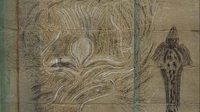 ​Imbratta la loggia del Porcellino, denunciato dalla Polizia Municipale