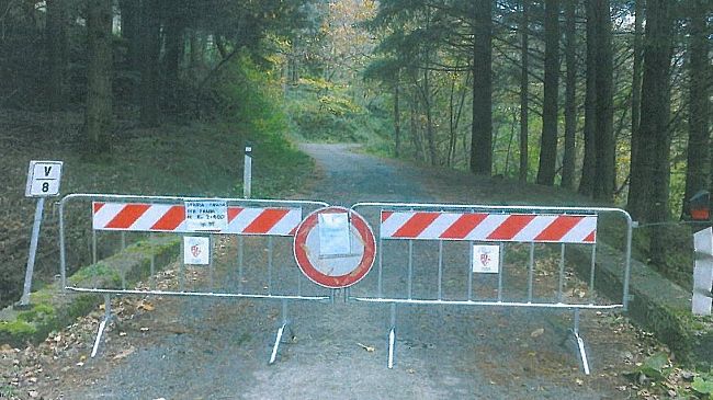 Anziano scomparso a San Godenzo