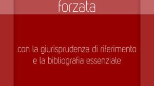 novita-pacini-giuridica-esecuzione-forzata