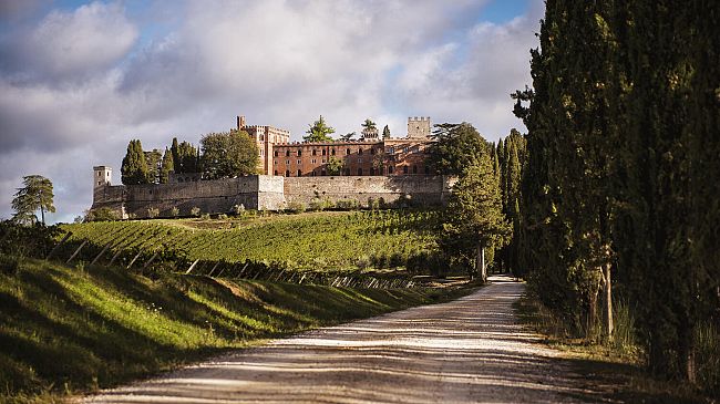 Wine tours e incoming in cantina nel futuro dei sommelier