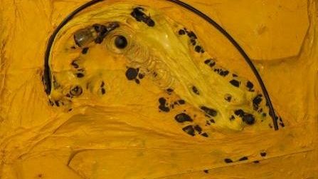 ''Ombra e Luce'' di Francesco Calamandrei