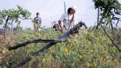 La Toscana al fianco delle cooperative antimafia<BR>Allarme ecomafie in Toscana dal consigliere Agresti (Commissione Ambiente)