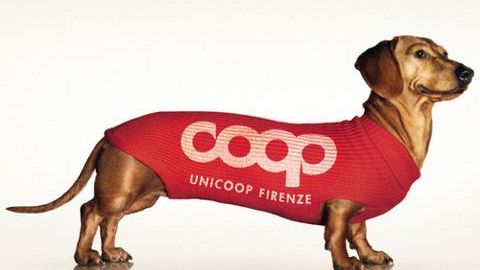 UniCoop: pubblicità ingannevole? Subito ritirata, dopo la denuncia Aduc