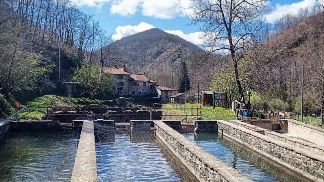 Giornata mondiale Ambiente: tornano a riprodursi i gamberi di fiume