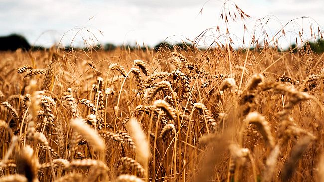 Nei primi 5 mesi dell’anno le famiglie hanno speso € 290 in più