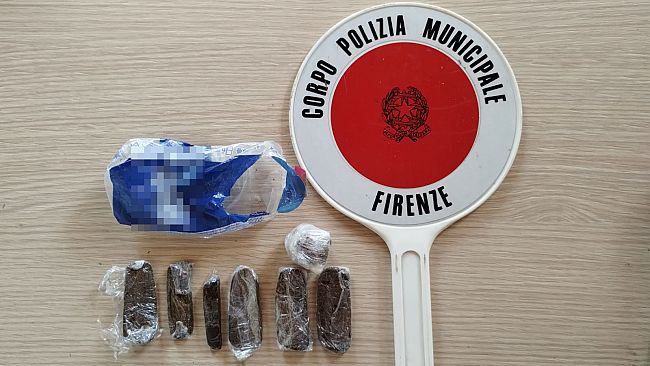 Allenamento alle Cascine, i cani dei vigili trovano droga 