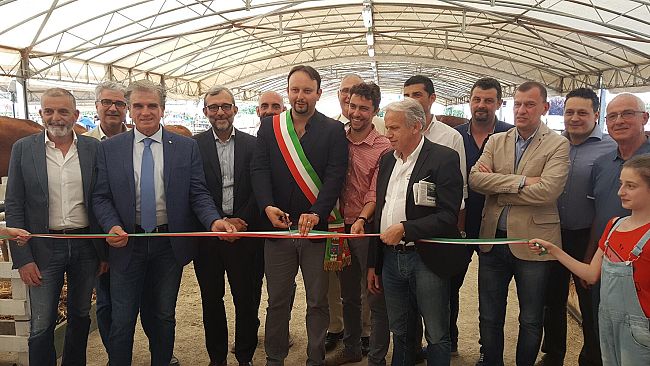 Fiera Agricola Mugellana: sabato le gare, il Gran Galà e la Festa delle Limousine