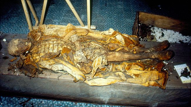 Gli insetti svelano il segreto della sepoltura di Re Ferrante II di Aragona