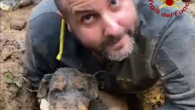 Follonica: cane cade in buca profonda, salvato dai pompieri 