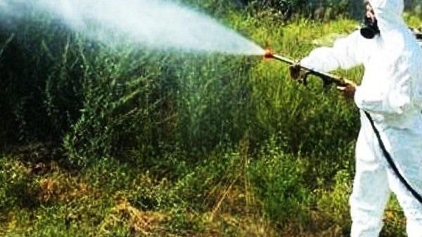 Firenze: riprende la disinfestazione antilarvale contro le zanzare