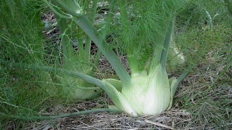 Siccità: servono investimenti nella gestione delle infrastrutture