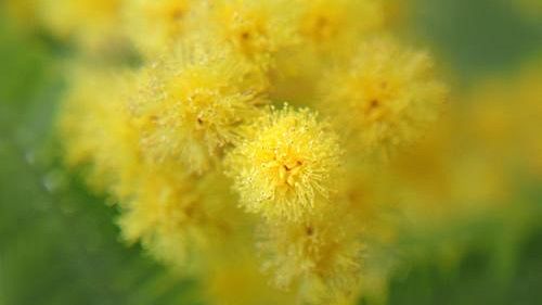 Festa della Donna 2023, particolare attenzione ai diritti