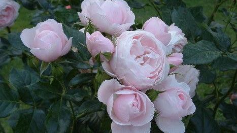 Firenze: l'inflazione al +1,7%