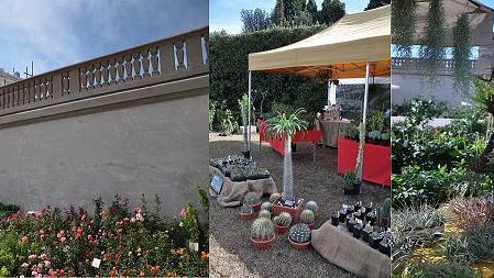 “Botanica di primavera”, esemplari dimenticati o mai visti