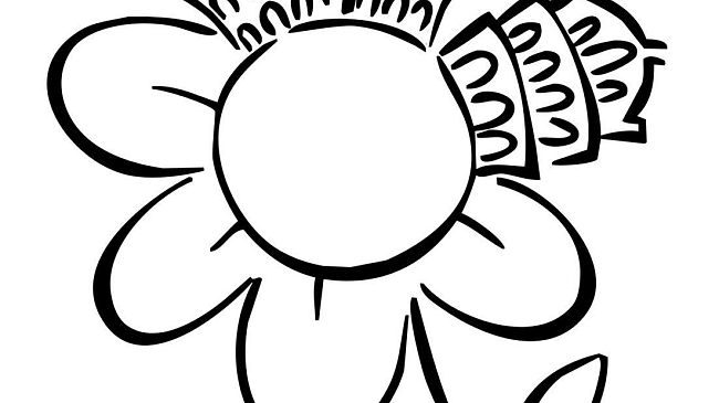 Un fiore di città, Pisa festeggia la primavera