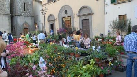 Nel verde Mugello giochi e attività per turisti e famiglie