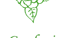 Il linguaggio dei fiori