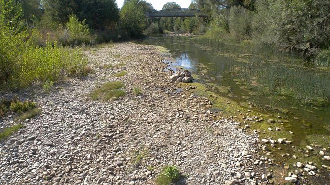 Siccità: coltivazioni a rischio, apicoltura in crisi