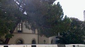 Modifica linee Ataf in piazza Barbetti: improvvisazione e lacune