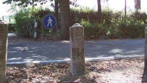 Una nuova segnalazione sull'amianto al Parco delle Cascine