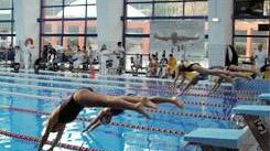 Crollo controsoffitto in piscina a Firenze, commissione indagine immediata