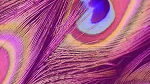 Museo del Tessuto di Prato: un concorso internazionale rivolto a giovani designer