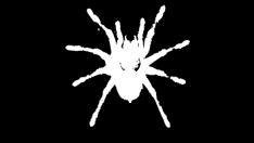 Patchanka Summer 2005: domenica 21 agosto Notte della Taranta