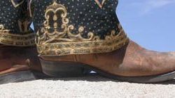 Andrea Zittel: Between Art and Life