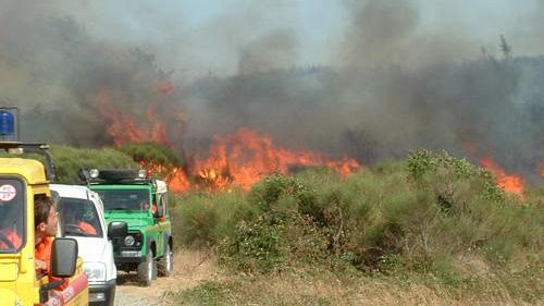 Incendi boschivi, in Toscana 200 roghi da gennaio ad agosto