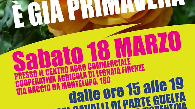 Nel fine settimana sboccia la primavera