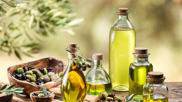 Olio extravergine d'oliva: nel Senese produzione a picco, calo del 50%