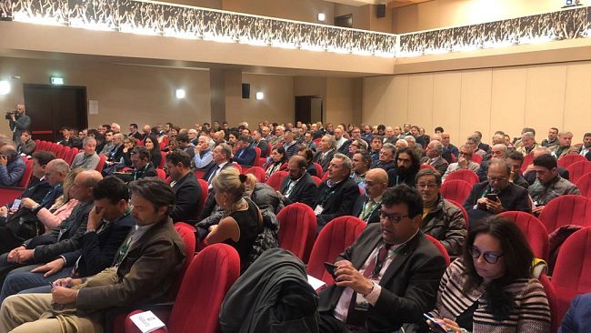Ungulati,  danni per 3,5 milioni di euro all'agricoltura in Toscana