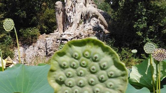 Riaperto da oggi il Parco di Pratolino