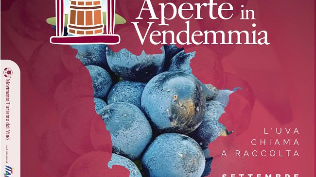 La vendemmia come non l'avete mai vista