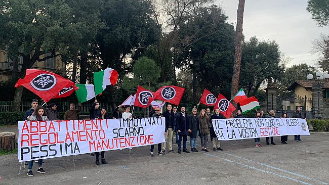 Gli alberi abbattuti si tingono di nero