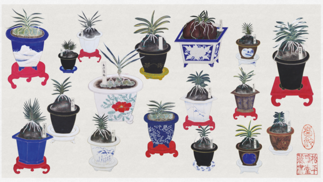 'Le orchidee dei Samurai' allo Stibbert