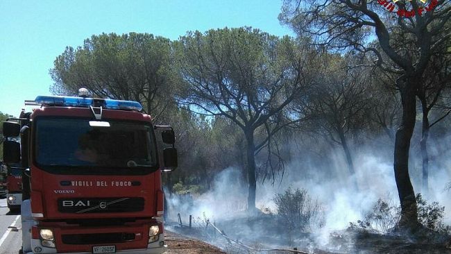 Toscana in fiamme: serviranno anni per rivedere i boschi